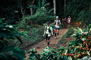 BIB: 
                            <button type="button" onclick="openModal(25825323)" class="btn btn-primary btn-sm float-right btn-popup" data-toggle="modal" data-target=".modal-high-quality">
                        <i class="fas fa-shopping-cart"></i> Add to Cart
                    </button>
                                            <button type="button" onclick="isThisMe(25825323, true)" class="btn btn-success btn-sm float-right btn-popup btn-isme hidden" data-toggle="tooltip" data-placement="bottom" title="นี่คือรูปของคุณใช่ไหม คลิกที่นี่เพื่อเอาเข้าอัลบั้ม">
                        <i class="fas fa-plus"></i> Add to album
                    </button>
                    <button type="button" onclick="isThisMe(25825323, false)" class="btn btn-warning btn-sm float-right btn-popup btn-isnotme hidden">
                        <i class="fas fa-ban"></i> Remove from album
                    </button>